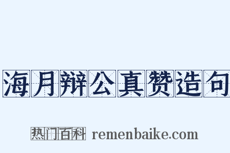 海月辩公真赞造句是什么意思的图片